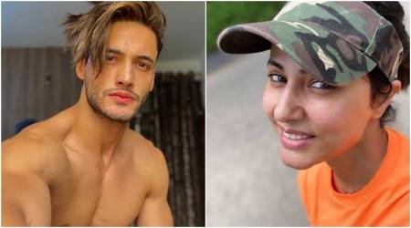 asim riaz, hina khan, himanshi khurana, shehnaaz gill