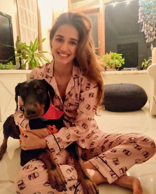 disha patani pet lover