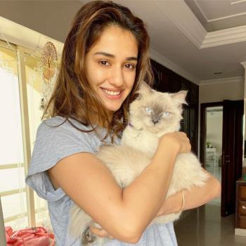 disha patni with cat