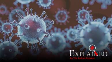 coronavirus spread, Covid-19, SARS-CoV-2, University College London, hospital bed, Indian express explained