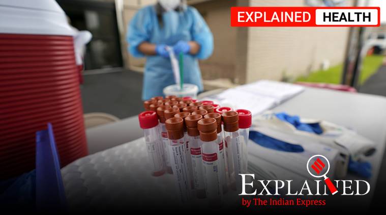 Coronavirus news, Covid news, coronavirus vaccine, coronavirus test, coronavirus immunity, Indian Express