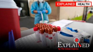 Coronavirus news, Covid news, coronavirus vaccine, coronavirus test, coronavirus immunity, Indian Express