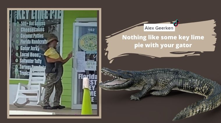 Watch Florida man carries pet alligator in his arms, video delights
