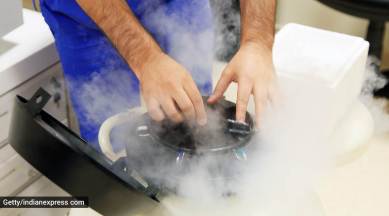 egg freezing, freezing of eggs, pros and cons of egg freezing, fertility, motherhood, parenting, indian express, indian express news