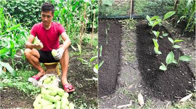 Gouramangi Singh, Gouramangi Singh India captain, Gouramangi Singh defender, Gouramangi Singh organic farming, Gouramangi Singh Imphal farming, India lockdown