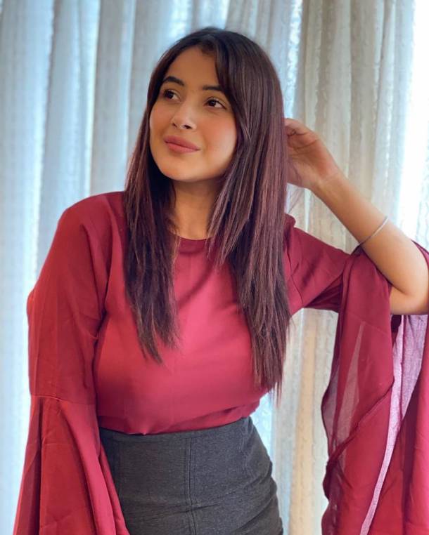 shehnaaz gill news