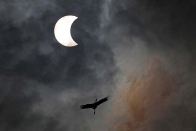 solar eclipse, solar eclipse 2020, solar eclipse june, solar eclipse december, annular solar eclipse, total solar eclipse