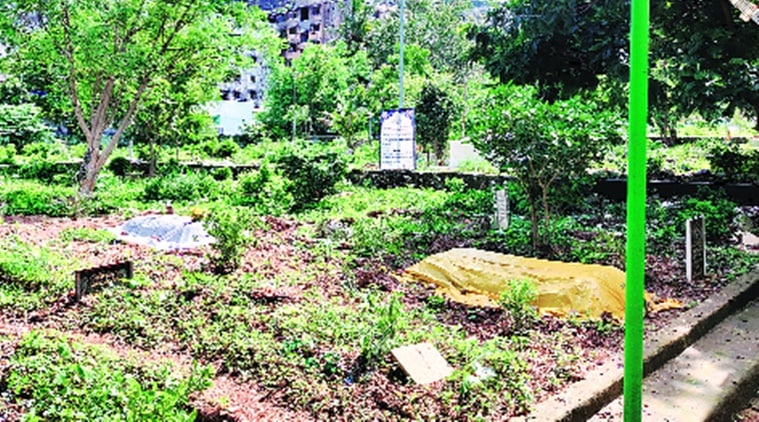 maharashtra covid news update, covid-19 cases in mumra, covid-19 cases in kausa, covid-19 deaths in maharashtra, covid-19 burials spike in maharashtra, indian express news