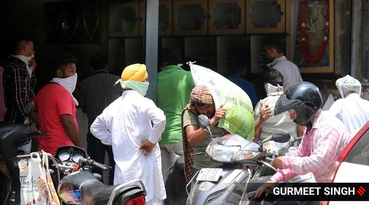 Haryana, covid 19, coronavirus tally, covid death toll