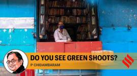 Do you see green shoots?