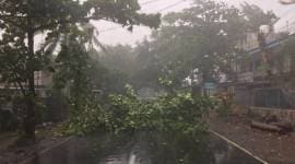 cyclone nisarga, cyclone nisarga mumbai, mumbai cyclone, cyclone nisarga today, gujarat cyclone, alibaug cyclone nisarga, cyclone nisarga latest news, indian express news