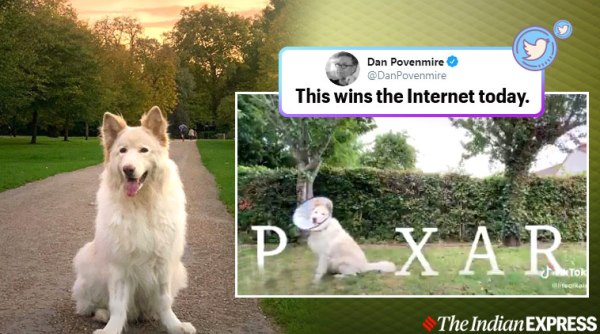 pixar logo, dog recreates pixar intro, pixar logo intro, dog pixar challenge, pixar challenge, pixar lamp challenge, tiktok pixar challenge, viral news, dog viral video, indian express