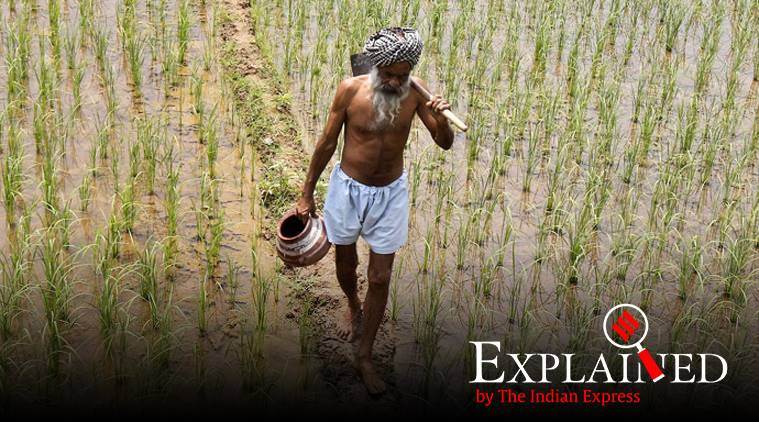 coronavirus lockdown impact, farm economy, farm economy coronavirus, coronavirus economic package, india farmers, state swise distribution of corona relief funds, indian express