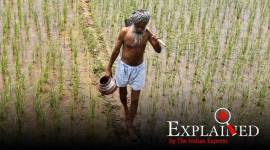 coronavirus lockdown impact, farm economy, farm economy coronavirus, coronavirus economic package, india farmers, state swise distribution of corona relief funds, indian express