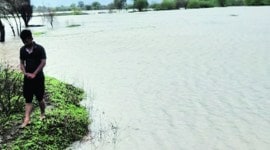 cyclone nisarga, maharashtra monsoon, maharashtra farmers, maharashtra kharif crop, maharashtra kharif crop loss, maharashtra floods, indian express news