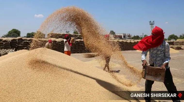 india lockdown, india lockdown food stock, india lockdown food supply, india foodgrain stocks, india wheat stocks, food corporation of india, india rice production, indian express news