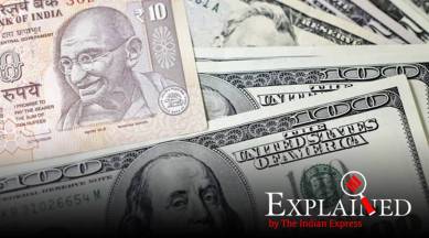 Forex reserves, India's forex reserves, Indian economy, forex reserves Indian economy, Indian economy forex reserves, Express Explained, Indian Express