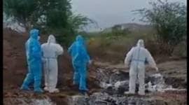 bellari video dumping covid bodies, coronavirus patients bodies dump video, karnataka bellari bodies dumped, karnataka coronavirus cases