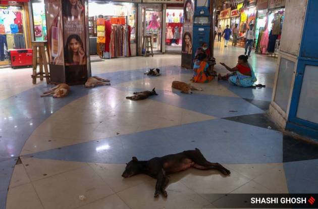 kolkata lockdown, coronavirus, india lockdown, india coronavirus lockdown, indian express news