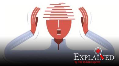 sushant singh rajput suicide, section 309 attempt to suicide, is attempt to suicide illegal, legal system on suicide cases