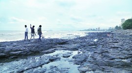 maharashtra monsoon, imd, imd maharashtra weather update, imd maharashtra monsoon update, southwest monsoon in mumbai, monsoon arrival in mumbai, indian express news
