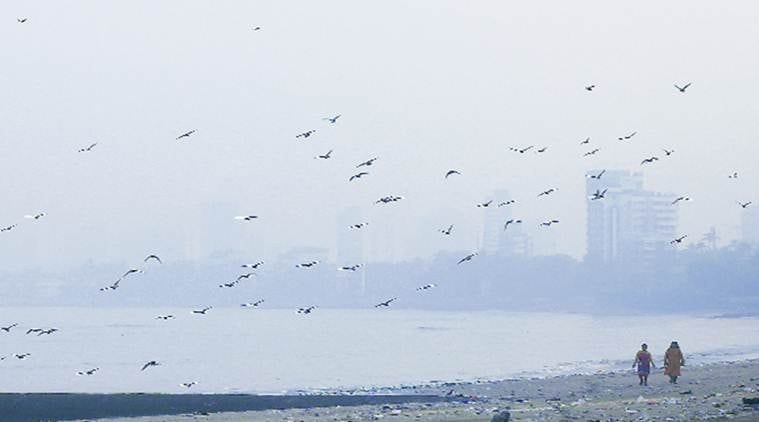 mumbai air, mumbai air quality, aqi, mumbai aqi index, mumbai aqi index lowest, World Health Organisation, indian express news