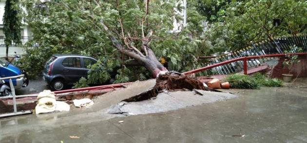 cyclone nisarga, cyclone nisarga mumbai, mumbai cyclone, cyclone nisarga today, gujarat cyclone, alibaug cyclone nisarga, cyclone nisarga latest news, indian express news