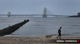 Maharashtra monsoon, IMD forcast, orange alert, Mumbai news, Indian express news