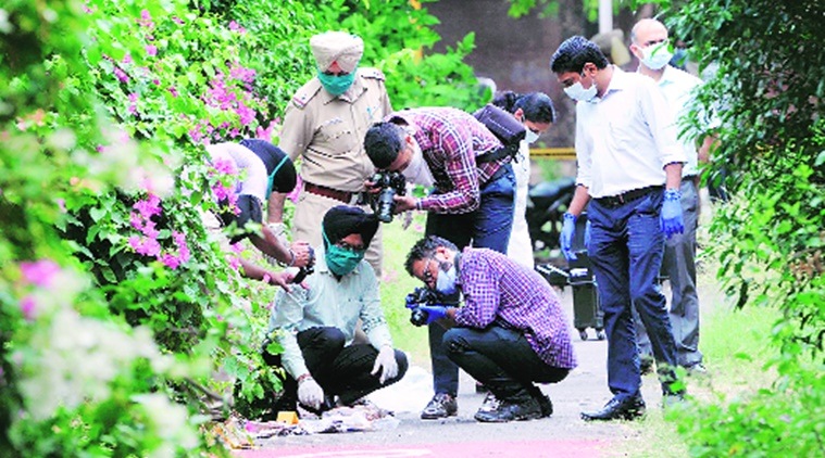 Foetus, severed legs of woman found in vacant plot of Sector 17