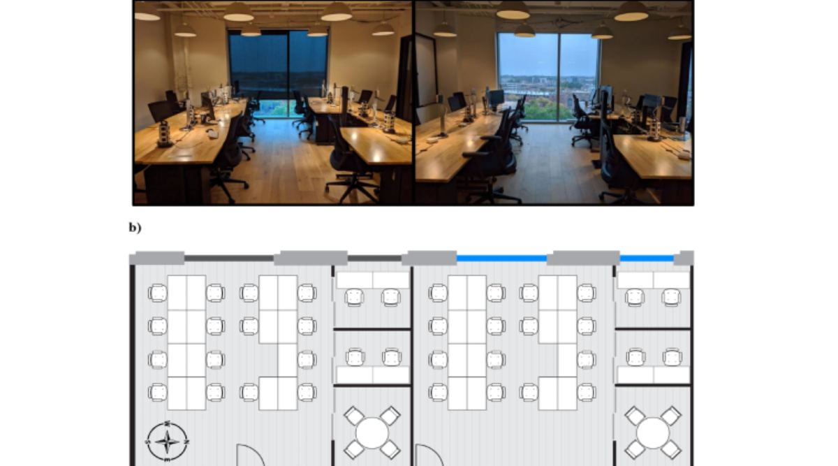 day light, office work, sleep, light sleep pattern, daylight office work, cognitive test, daylight sleep