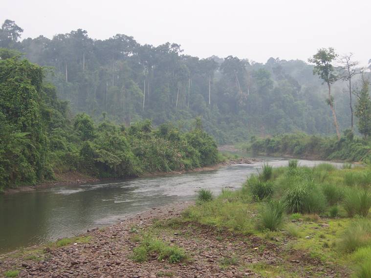 Dehing Patkai Elephant Reserve, mining in Dehing Patkai, Dehing Patkai mining protests, North Eastern Coalfields, North Eastern Coalfields suspends operations, Coal India, coal mining clearances, indian express