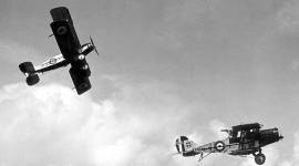 aerial warfare,Wing Commander RCM Pink world war 1, Royal Air Force (RAF), war pink,