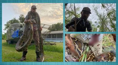Snake Hunter fight 17-Foot Python viral video, pythoncowboy, Trapper Mike