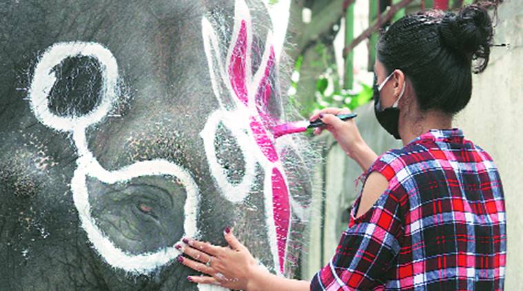 No Kids Offering Jaggery To Elephant Just Men In Khaki Keeping Vigil Cities News The Indian Express