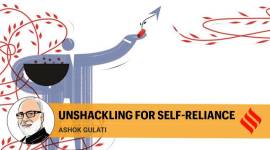 Atmanirbhar Bharat, Narendra Modi's call, self-reliance, Indian agriculture, Ashok Gulati opinion, Indian express opinion