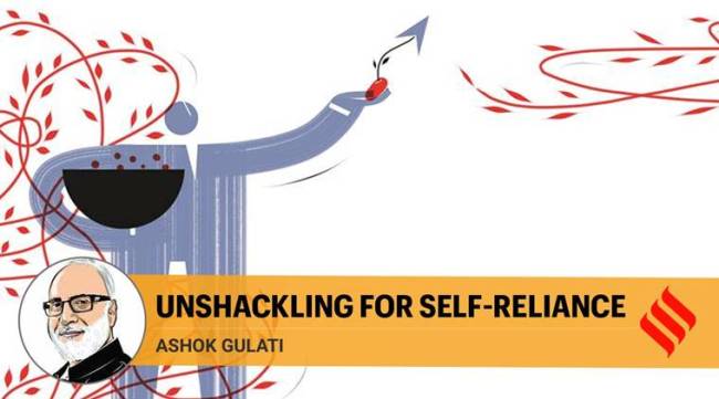 Atmanirbhar Bharat, Narendra Modi's call, self-reliance, Indian agriculture, Ashok Gulati opinion, Indian express opinion