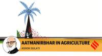 ASHOK-GULATI 759 atma nirbhar bharat, atma nirbhar bharat modi, India agriculture sector, agriculture sector crisis, farmers India, prime minister narendra modi, covid-19 impact on economy, Indian express