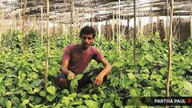 Amphan relief funds, Amphan funds, Cyclone Amphan, Amphan west bengal, bengal cyclone, Express investigation on Cyclone Amphan, Indian express