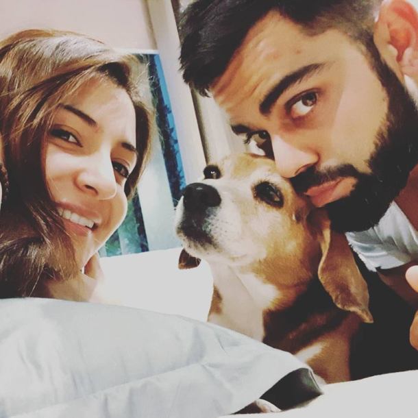Anushka, virat pet dead