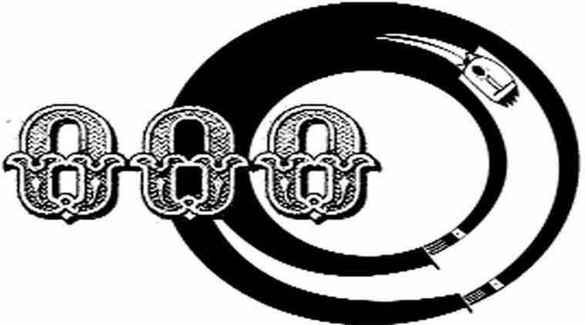 The Enforcement Directorate (ED) has been the most proactive, attaching properties of companies despite orders from adjudicating authorities against doing so. (File)