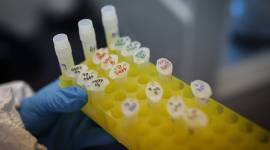 Delhi lab found no toxic impurity in solvent used to make cough syrup, says Sirmaur firm