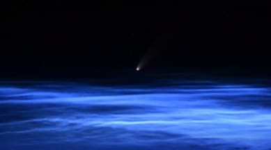 New Comet, Comet, Comets, Comet Neowise, C 2020 F3, Neowise