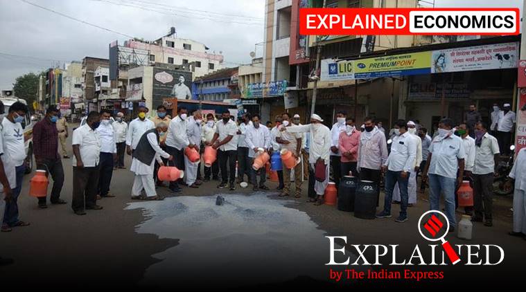 Explained: Why are dairy farmers in Maharashtra dumping their milk ...