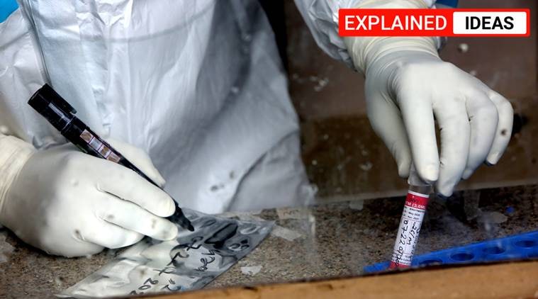 Coronavirus news, Delhi, Delhi news, Delhi sero survey, Delhi sero-prevalence survey, Delhi coronavirus news, Delhi Covid cases, Indian Express