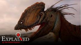 Dilophosaurus, Jurassic Park, Jurassic Park spitter, what did Dilophosaurus look like, dinosaurs, dinosaurs latest research, express explained, indian express