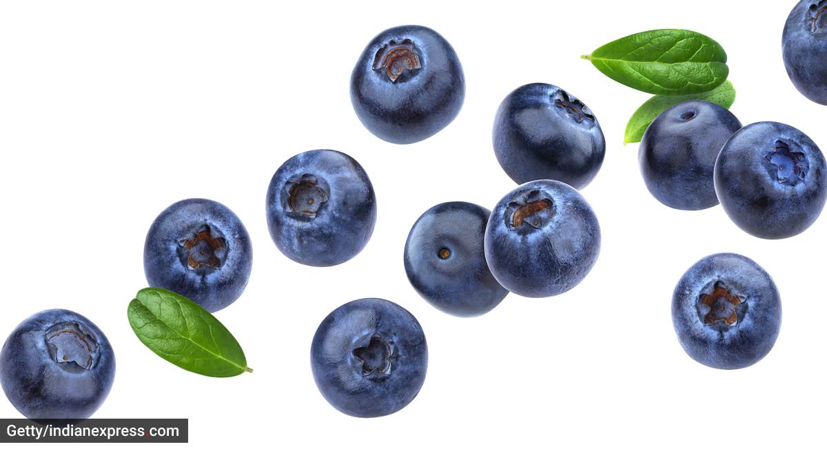blueberries, skincare benefits of blueberries, blueberries for clear skin, acne problems, natural skincare solutions, indian express, indian express news