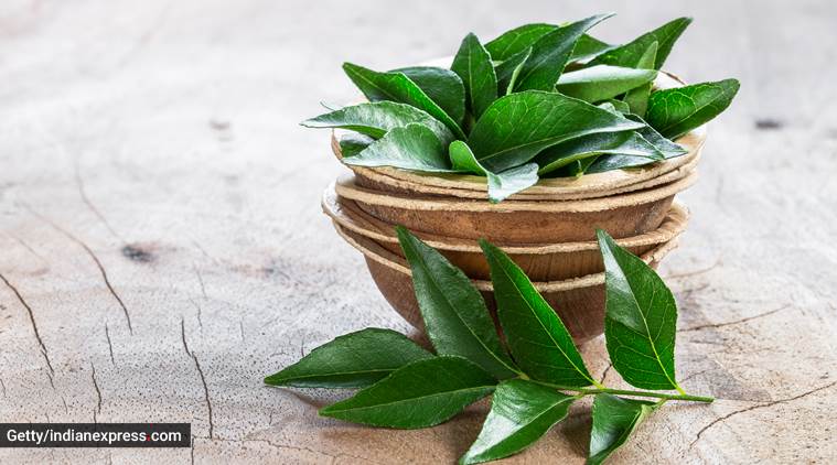 Homemade curry leaves herbal hair pack for hair regrowth  For long and  thick hair  YouTube