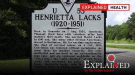 Henrietta Lacks, HeLa cell line, medical ethics violations, ethics in medical research violation, Tuskegee Syphilis Study, J Marion Sims, express explained, indian express