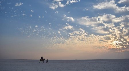 Little Rann of Kutch, narmada, Surendranagar district, desert at Kharaghoda, Agariya Hit Rakshak Manch, Sarovar Narmada Nigam Limited, rajkot news, gujarat news, indian express