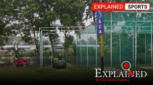 Explained: How to organise a fake T20 league